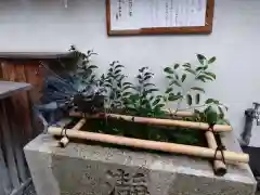 市比賣神社(京都府)