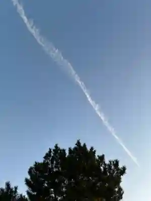 御嶽山 白龍神社の{uncategorized: "未分類", other: "その他", undefined: "問題あり", building: "その他建物", grave: "お墓", sacred_gate: "鳥居", guardian: "狛犬", statue: "像", buddha: "仏像", history: "歴史", nature: "自然", garden: "庭園", animal: "動物", pagoda: "塔", temizu: "手水舎", mountain_gate: "山門・神門", sanctuary: "本殿・本堂", subordinate: "末社・摂社", art: "芸術", scenery: "景色", jizo: "地蔵", ema: "絵馬", goshuin: "御朱印", omikuji: "おみくじ", items: "授与品その他", amulet: "お守り", goshuincho: "御朱印帳", eats: "食事", festival: "お祭り", votive_dance: "神楽", shichigosan: "七五三参", wedding: "結婚式", experience: "体験その他", initially: "初詣", around: "周辺", anti_infection: "感染症対策"}
