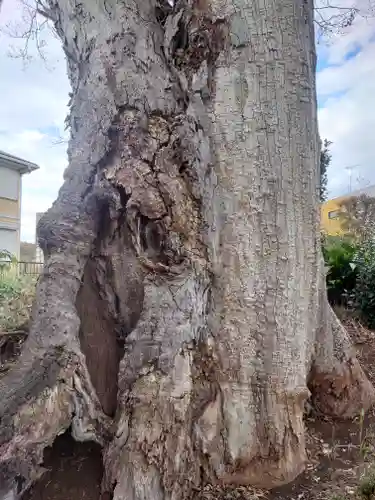 護王姫社(神奈川県)