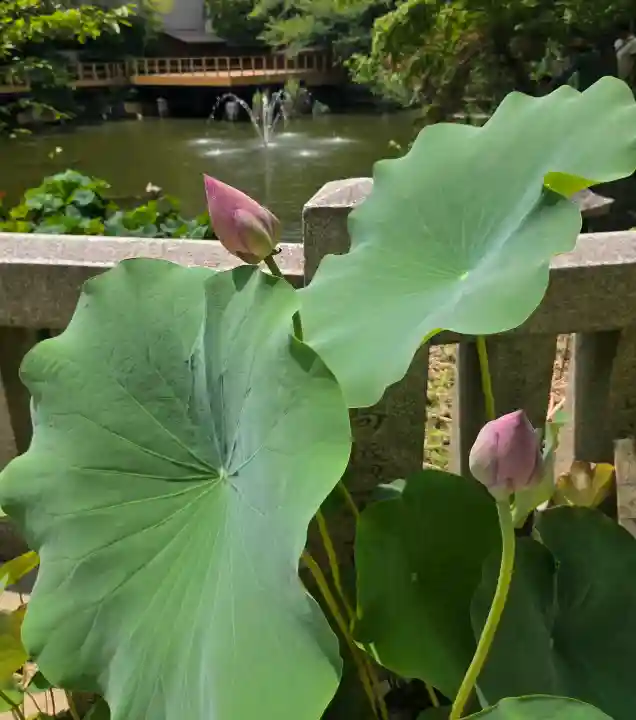 生田神社(兵庫県)