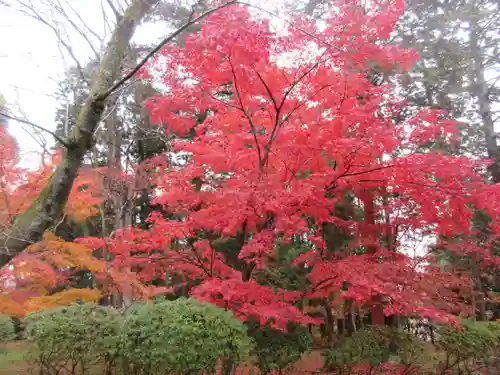 園城寺（三井寺）(滋賀県)