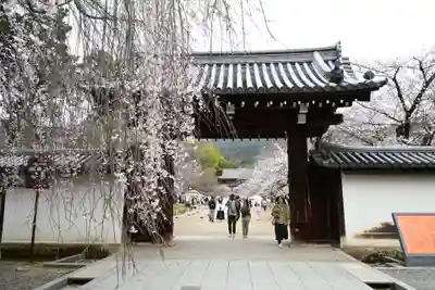 醍醐寺(京都府)