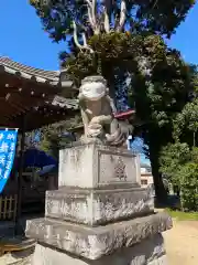 鶴峯八幡宮の狛犬