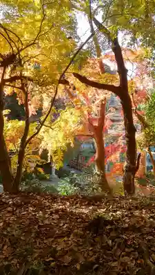 香取神宮のその他建物