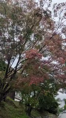 くろ谷 金戒光明寺(京都府)