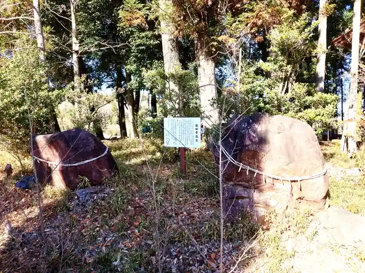 中蒔田椋神社(埼玉県)