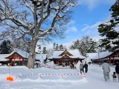 北海道護國神社の初詣