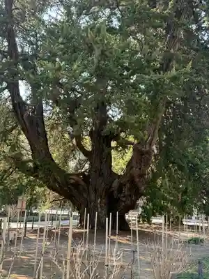 建長寺(神奈川県)