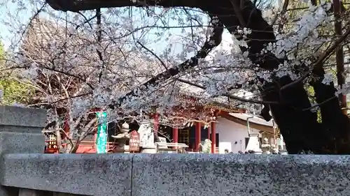 浅草神社(東京都)
