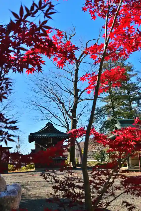 美和神社(群馬県)