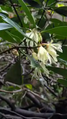 石山寺(滋賀県)