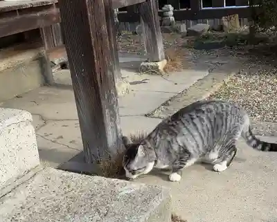 正覚院(京都府)