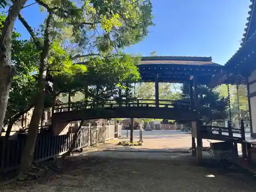 伊弉諾神宮(兵庫県)