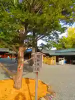 北海道神宮(北海道)