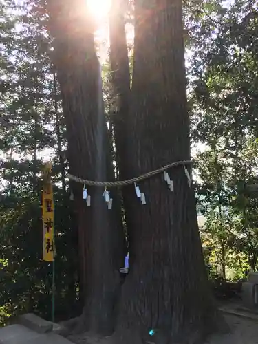 聖神社の自然