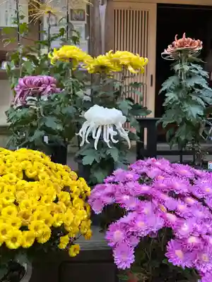 大宮温泉神社(栃木県)