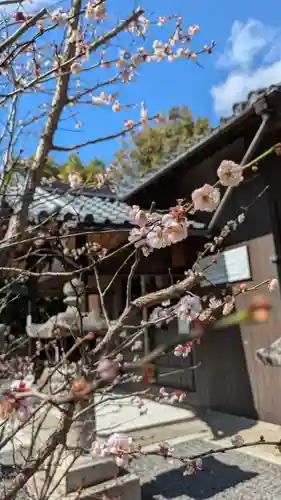 天穂日命神社(京都府)