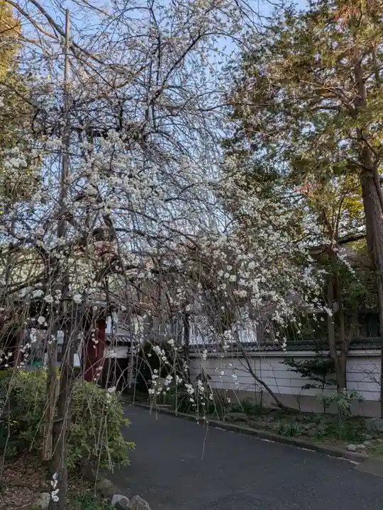 蓮華寺(東京都)