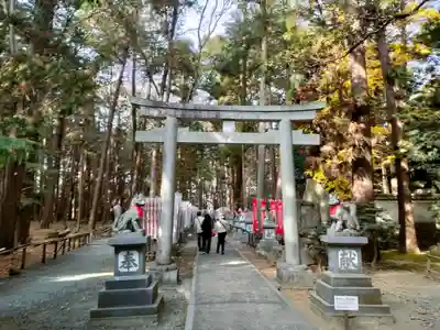 豊川閣　妙厳寺の鳥居