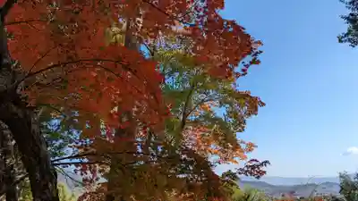 二尊院(京都府)