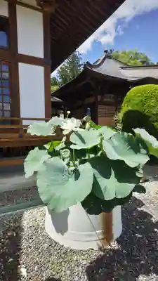 福田寺(福島県)