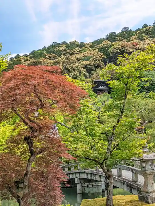 禅林寺(永観堂)(京都府)