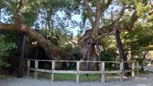 伊勢神宮外宮（豊受大神宮）の庭園