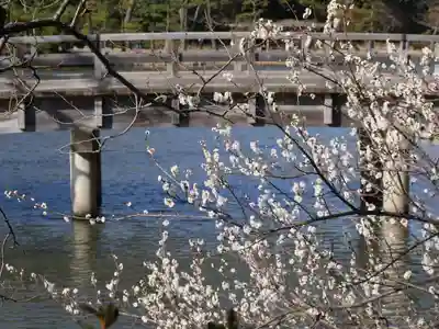 三渓園天満宮の自然