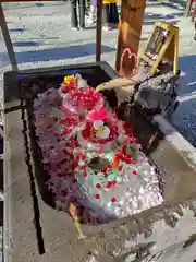 川越熊野神社の手水