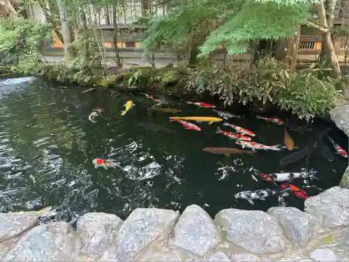伊勢神宮内宮（皇大神宮）(三重県)