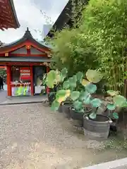 生田神社の建物その他