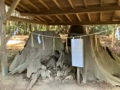 鴨鳥五所神社の{uncategorized: "未分類", other: "その他", undefined: "問題あり", building: "その他建物", grave: "お墓", sacred_gate: "鳥居", guardian: "狛犬", statue: "像", buddha: "仏像", history: "歴史", nature: "自然", garden: "庭園", animal: "動物", pagoda: "塔", temizu: "手水舎", mountain_gate: "山門・神門", sanctuary: "本殿・本堂", subordinate: "末社・摂社", art: "芸術", scenery: "景色", jizo: "地蔵", ema: "絵馬", goshuin: "御朱印", omikuji: "おみくじ", items: "授与品その他", amulet: "お守り", goshuincho: "御朱印帳", eats: "食事", festival: "お祭り", votive_dance: "神楽", shichigosan: "七五三参", wedding: "結婚式", experience: "体験その他", initially: "初詣", around: "周辺", anti_infection: "感染症対策"}