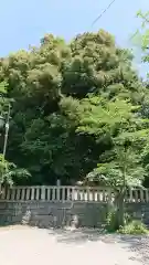 一之宮貫前神社の自然