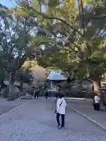 安房神社の{uncategorized: "未分類", other: "その他", undefined: "問題あり", building: "その他建物", grave: "お墓", sacred_gate: "鳥居", guardian: "狛犬", statue: "像", buddha: "仏像", history: "歴史", nature: "自然", garden: "庭園", animal: "動物", pagoda: "塔", temizu: "手水舎", mountain_gate: "山門・神門", sanctuary: "本殿・本堂", subordinate: "末社・摂社", art: "芸術", scenery: "景色", jizo: "地蔵", ema: "絵馬", goshuin: "御朱印", omikuji: "おみくじ", items: "授与品その他", amulet: "お守り", goshuincho: "御朱印帳", eats: "食事", festival: "お祭り", votive_dance: "神楽", shichigosan: "七五三参", wedding: "結婚式", experience: "体験その他", initially: "初詣", around: "周辺", anti_infection: "感染症対策"}