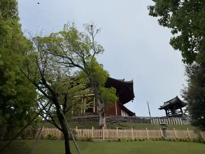 興福寺の{uncategorized: "未分類", other: "その他", undefined: "問題あり", building: "その他建物", grave: "お墓", sacred_gate: "鳥居", guardian: "狛犬", statue: "像", buddha: "仏像", history: "歴史", nature: "自然", garden: "庭園", animal: "動物", pagoda: "塔", temizu: "手水舎", mountain_gate: "山門・神門", sanctuary: "本殿・本堂", subordinate: "末社・摂社", art: "芸術", scenery: "景色", jizo: "地蔵", ema: "絵馬", goshuin: "御朱印", omikuji: "おみくじ", items: "授与品その他", amulet: "お守り", goshuincho: "御朱印帳", eats: "食事", festival: "お祭り", votive_dance: "神楽", shichigosan: "七五三参", wedding: "結婚式", experience: "体験その他", initially: "初詣", around: "周辺", anti_infection: "感染症対策"}
