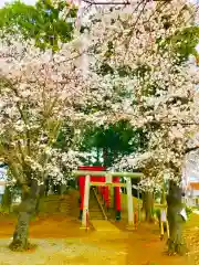 神谷稲荷神社(茨城県)