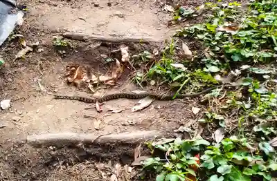 洲崎神社(千葉県)