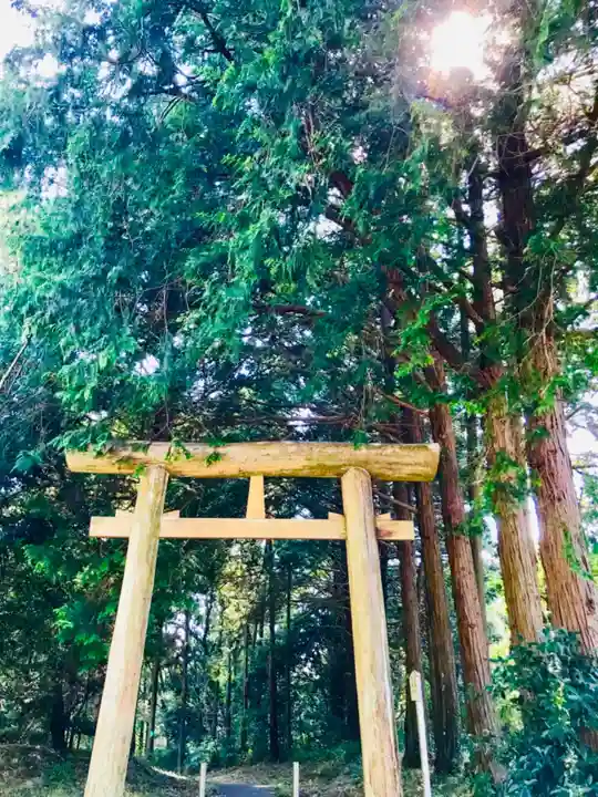 猿田神社の鳥居