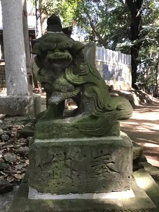 浅間神社の狛犬