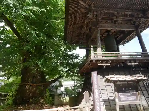 北向観音のその他建物