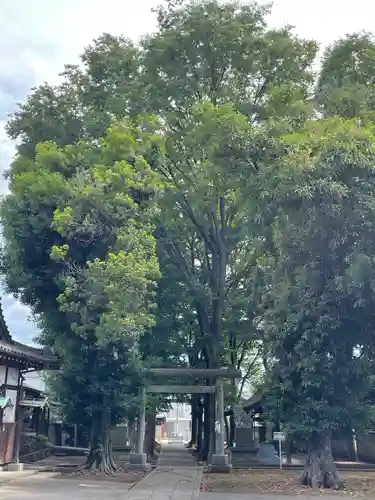 中町天祖神社(東京都)