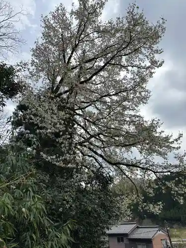 御田神社(富山県)