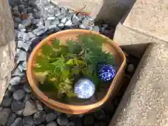 神吉八幡神社(兵庫県)