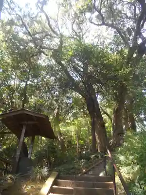 熊野神社のその他建物