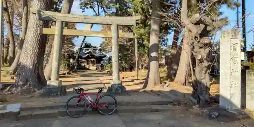 酒匂神社の鳥居