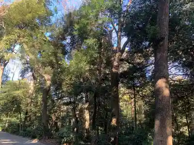 明治神宮(東京都)