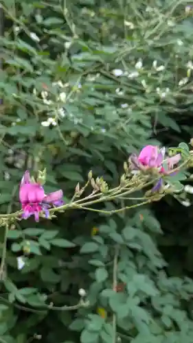 梨木神社(京都府)