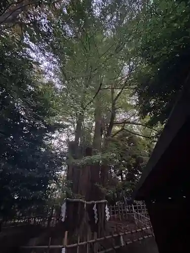 大國魂神社(東京都)