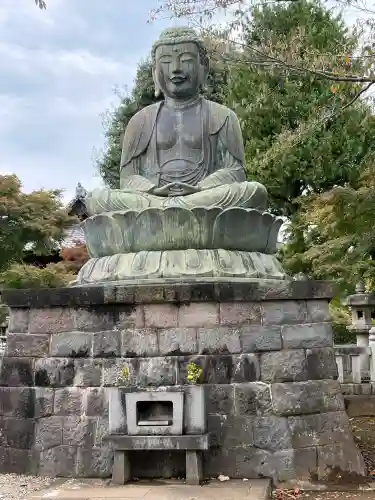 護国寺(東京都)