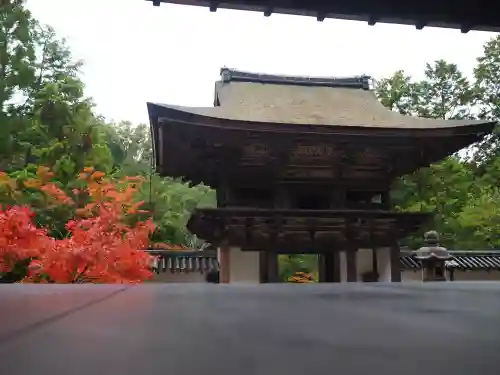 円成寺の{uncategorized: "未分類", other: "その他", undefined: "問題あり", building: "その他建物", grave: "お墓", sacred_gate: "鳥居", guardian: "狛犬", statue: "像", buddha: "仏像", history: "歴史", nature: "自然", garden: "庭園", animal: "動物", pagoda: "塔", temizu: "手水舎", mountain_gate: "山門・神門", sanctuary: "本殿・本堂", subordinate: "末社・摂社", art: "芸術", scenery: "景色", jizo: "地蔵", ema: "絵馬", goshuin: "御朱印", omikuji: "おみくじ", items: "授与品その他", amulet: "お守り", goshuincho: "御朱印帳", eats: "食事", festival: "お祭り", votive_dance: "神楽", shichigosan: "七五三参", wedding: "結婚式", experience: "体験その他", initially: "初詣", around: "周辺", anti_infection: "感染症対策"}